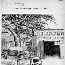 Under the Spreading Chestnut Tree