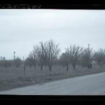 Negative, Safety, unknown