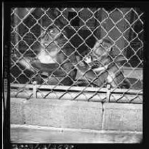 Negative, Safety, Unknown