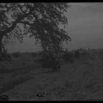 Negative, Glass Plate