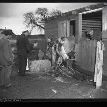 Negative, Safety, Unknown