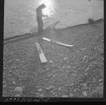 Negative, Safety, Unknown