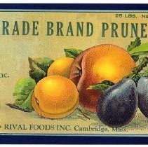 Trade Brand Prunes
