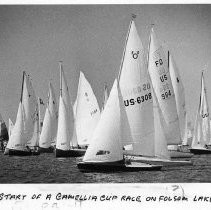 Camellia Cup Race, Folsom Lake