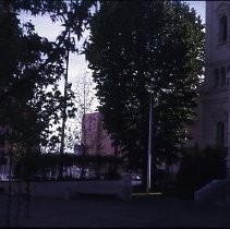 Cathedral of the Blessed Sacrament