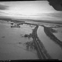 Negative, Safety, Unknown