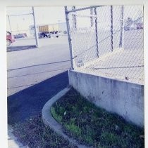 Richards Blvd. Tree planting beautification project