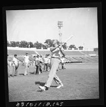 Baseball School