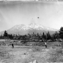 Mt. Shasta