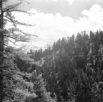 Sierra Nevada Mountain Scene