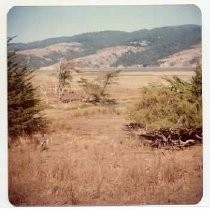 Photographs of landscape of Bolinas Bay