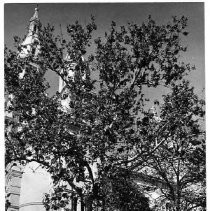 View of the Catholic Church, the Cathedral of the Blessed Sacrament at 10th and K Streets in Sacramento