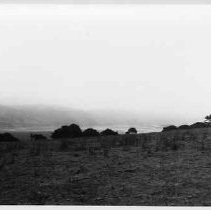 Photographs of landscape of Bolinas Bay