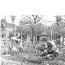 Community Garden