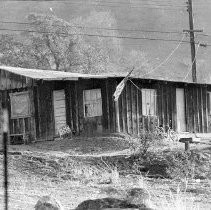 Austere Life for Native Americans at Tule Lake