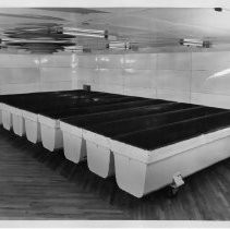 Interior view of the raising room for Old Home and Betsy Ross Bread for Pioneer Baking Company