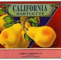 California Bartletts