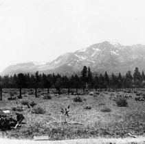 Mt. Tallac, Lake Tahoe