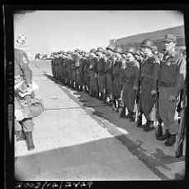 Negative, Safety, Unknown