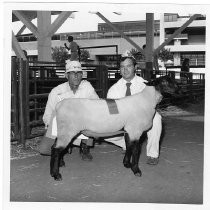 Print, Photographic, Black and White