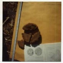 Photographs of landscape of Bolinas Bay. Artifact on work table