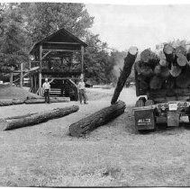 Timber logs are delivered to the replica of Sutter's Mill in Coloma