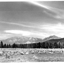 View of Mt. San Jacinto State Park, Riverside County