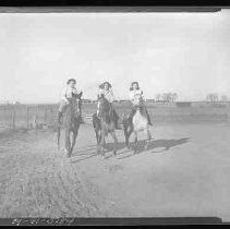 Three horseback riders