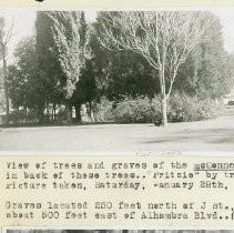 Print, Photographic, Black and White