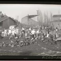 Negative, Safety, unknown