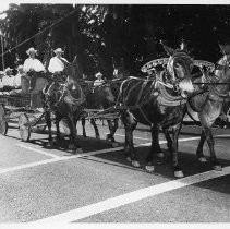 Pony Express Parade down K Street during the "re-run" of the Pony Express