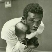 Unidentified Boxer