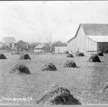 "Irrigated Farm"