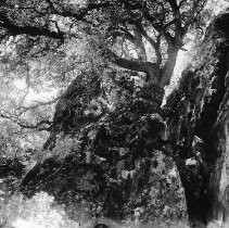 Rocky Outcropping