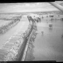 Negative, Safety, Unknown