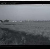 Negative, Safety, unknown