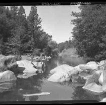 An unidentified mountain river