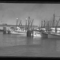 A fishing fleet