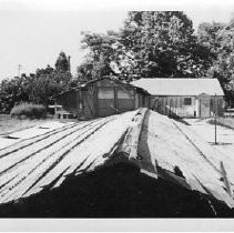 Chicken House