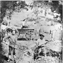 Black gold miners working sluice box