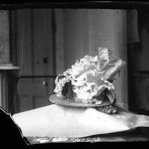 Negative, Glass Plate