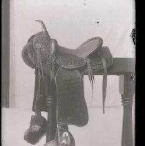 Negative, Glass Plate