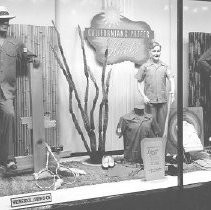 Weinstock's Window Display