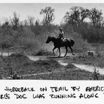 Horseback on American River Trail