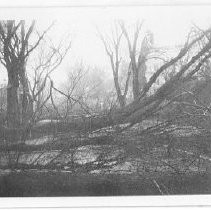 Windstorm of 1938