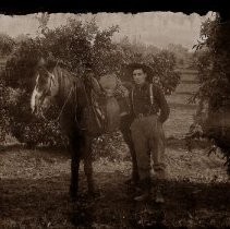 View is of an unidentified man with a horse in an orchard
