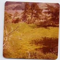 Photographs of landscape of Bolinas Bay. "Francisco Ranch, May 1, 1976 (Bolinas Lagoon)"