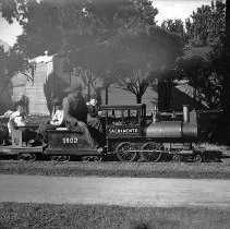 Joyland Miniature Train