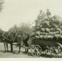 Wagonload