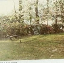 Print, Photographic, Color